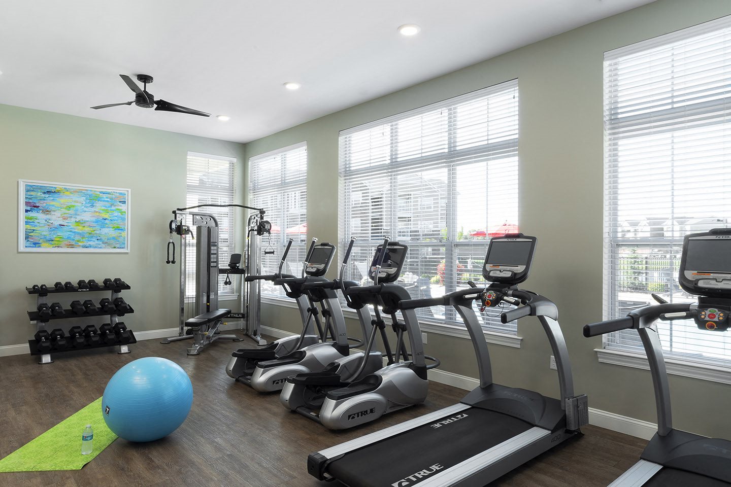 line of treadmills at Thirteen01 at Hartman Lakes, Illinois, 62269